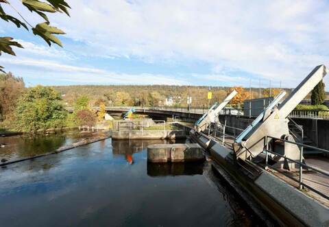 Die Frauenleiche wurde im Bereich des Wehrs in Niefern gefunden.