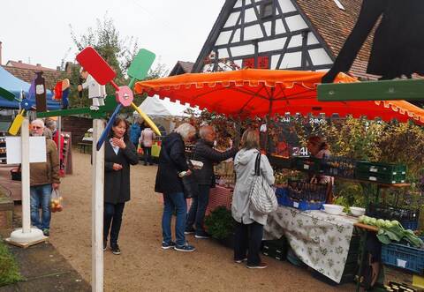 Von großem Interesse geprägt war der 25. Bauernmarkt in Neuhausen.